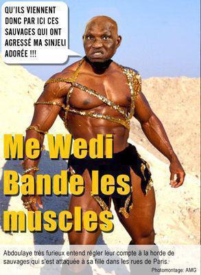 abdoulaye wade