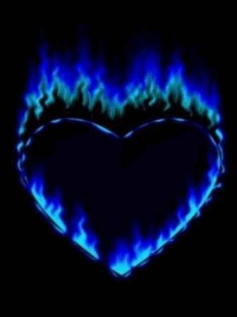 le coeur