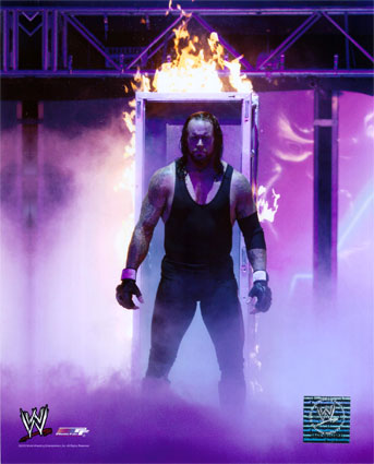 the undertaker