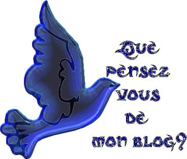 c est mon blog